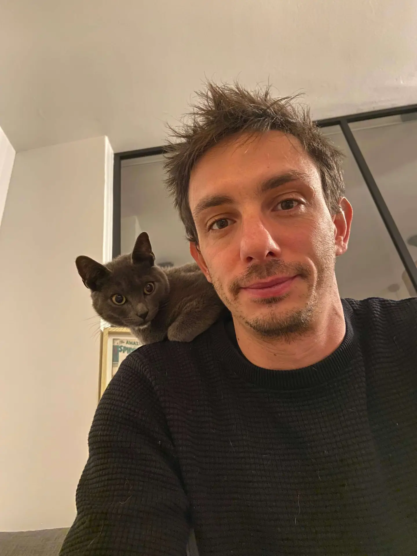 Homme avec son chaton gris sur l’épaule, exemple de complicité entre un propriétaire et un chat atteint d’insuffisance rénale