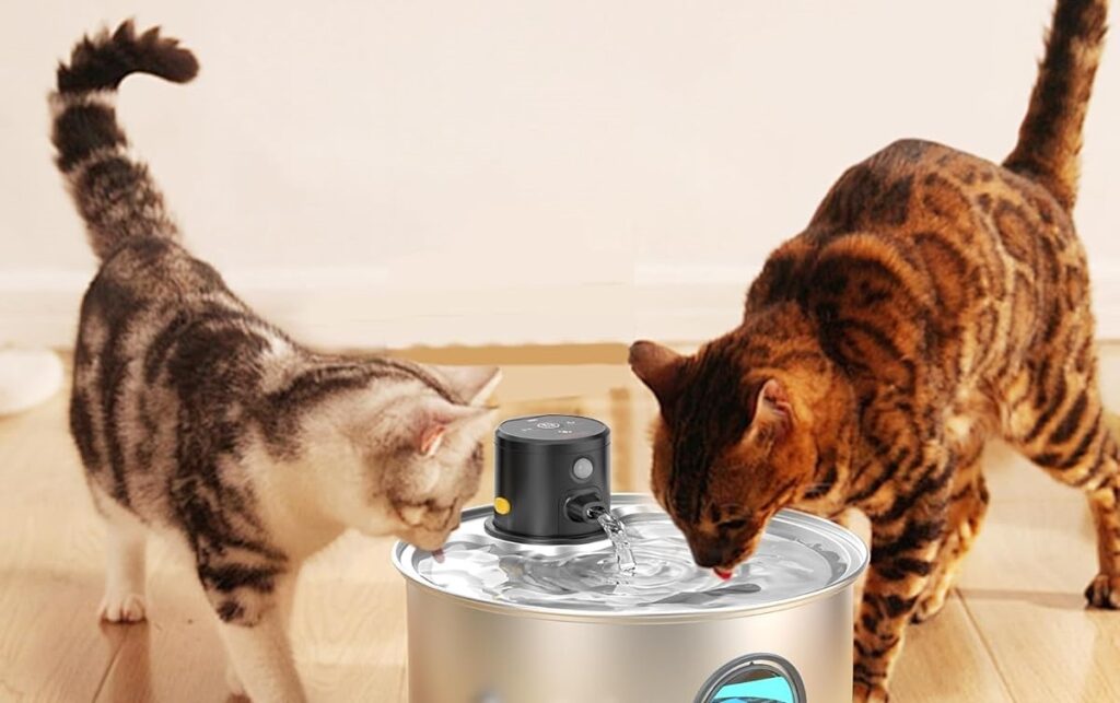 Deux chats boivent dans une fontaine à eau automatique noire pour chat posée sur un sol en bois clair.